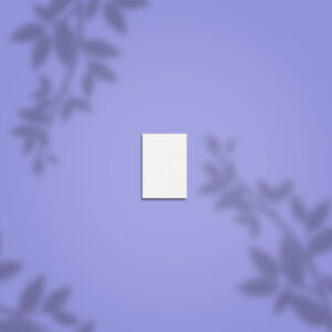 Staleks | Mini buffer 50st.